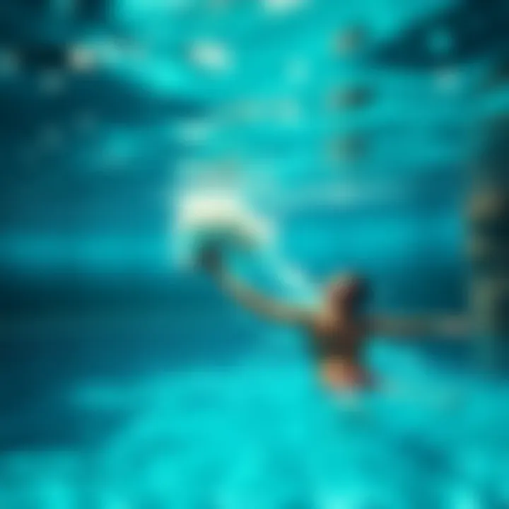 Magnificent Comparative Analysis of Freshwater and Saltwater Pools: A Comprehensive Overview