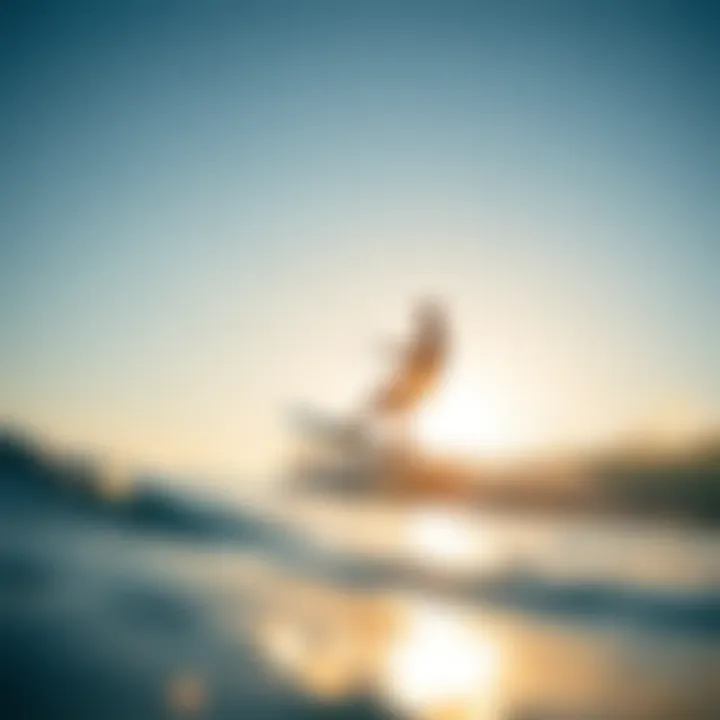 Magnificent Comprehensive Overview of Surf Foil Packages