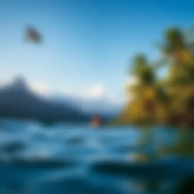 Magnificent Exploring LaPoint Camp: The Ultimate Costa Rican Watersports Retreat Magnificent Exploring LaPoint Camp: The Ultimate Costa Rican Watersports Retreat
