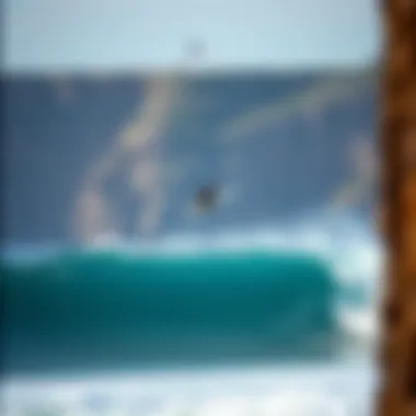 Magnificent Exploring Nazaré, Portugal: A Guide to Its Watersport Wonders Magnificent Exploring Nazaré, Portugal: A Guide to Its Watersport Wonders