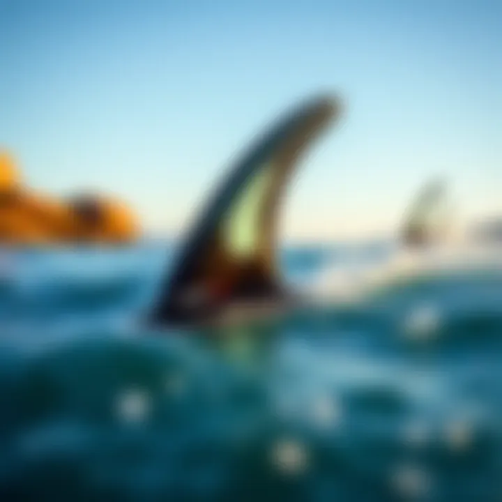 Magnificent Exploring the Dynamics of Two-1 Fins in Watersports