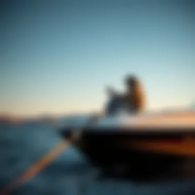 Magnificent Exploring the Mechanics and Mystique of Wakeskate Winches Magnificent Exploring the Mechanics and Mystique of Wakeskate Winches