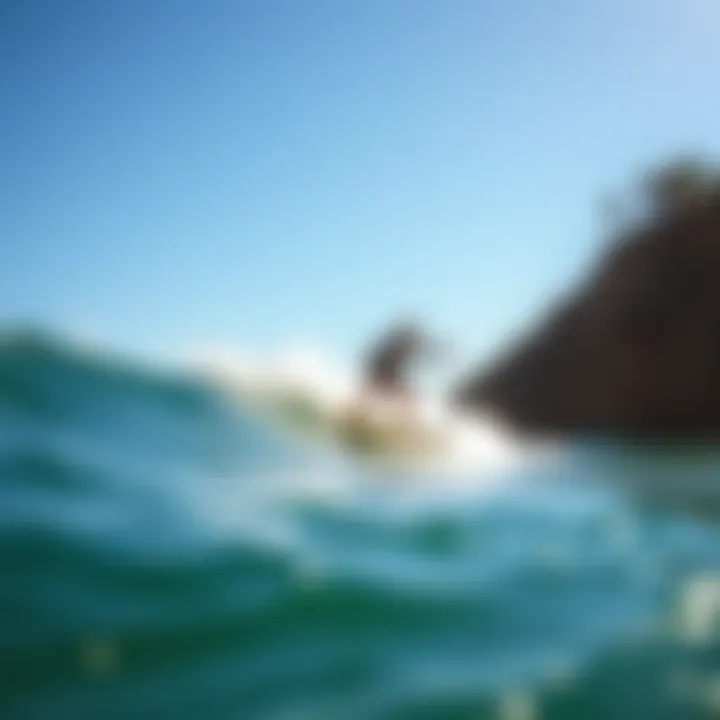 Magnificent Exploring the Surfing Culture of California