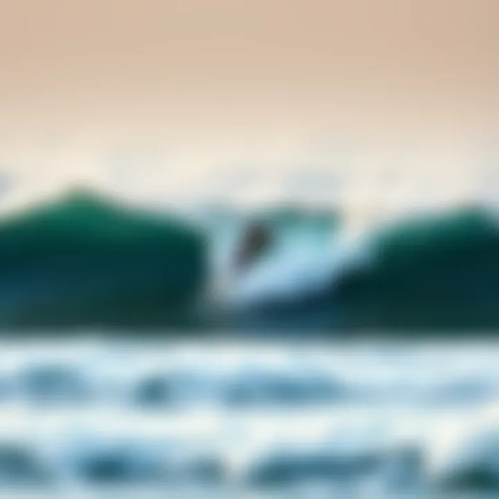 Magnificent Surf Waves Forecast: Understanding Predictions and Optimal Conditions