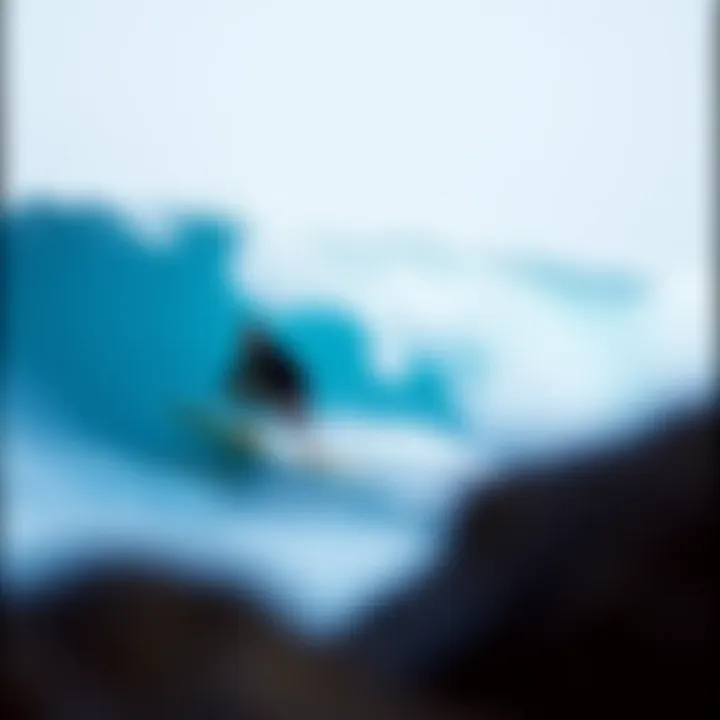 Magnificent The Evolution and Impact of O'Neill Surf Wear