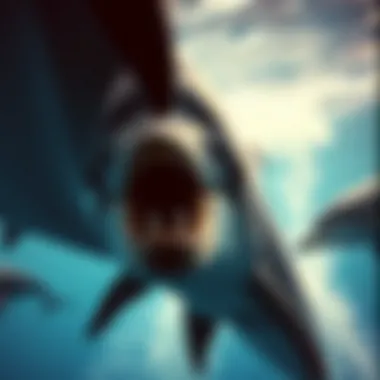 Magnificent The Familial Bonds of Dolphins: Understanding Their Social Structure and Behavior