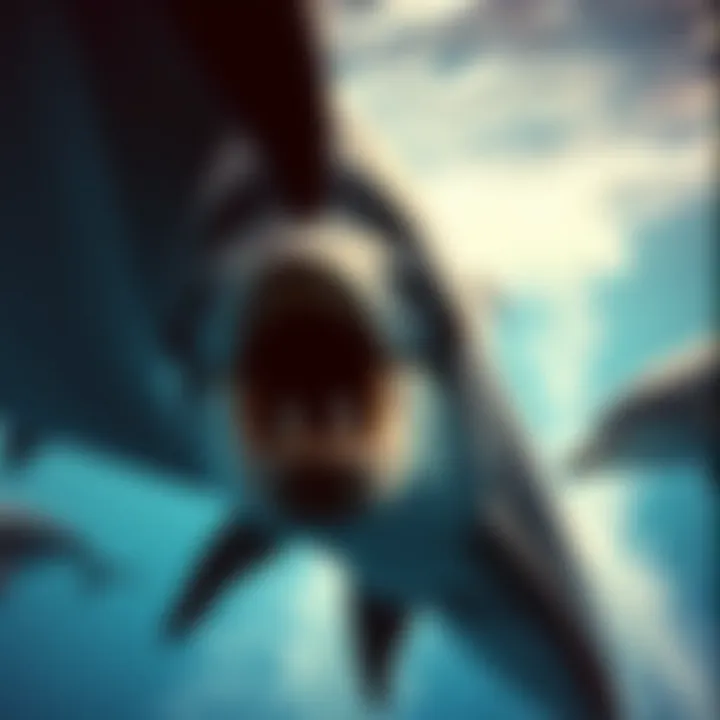 Magnificent The Familial Bonds of Dolphins: Understanding Their Social Structure and Behavior