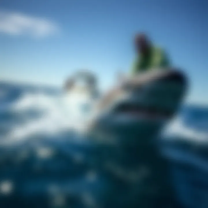 Magnificent The Role of Shark Spotters in Watersports Safety
