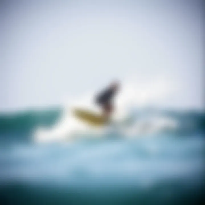 Magnificent Understanding the Essentials of a Quality Longboard