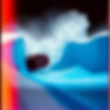 A Comprehensive Guide to Purchasing a FlowRider Summary A Comprehensive Guide to Purchasing a FlowRider Summary