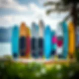 A variety of stand up paddle boards displayed against a scenic backdrop