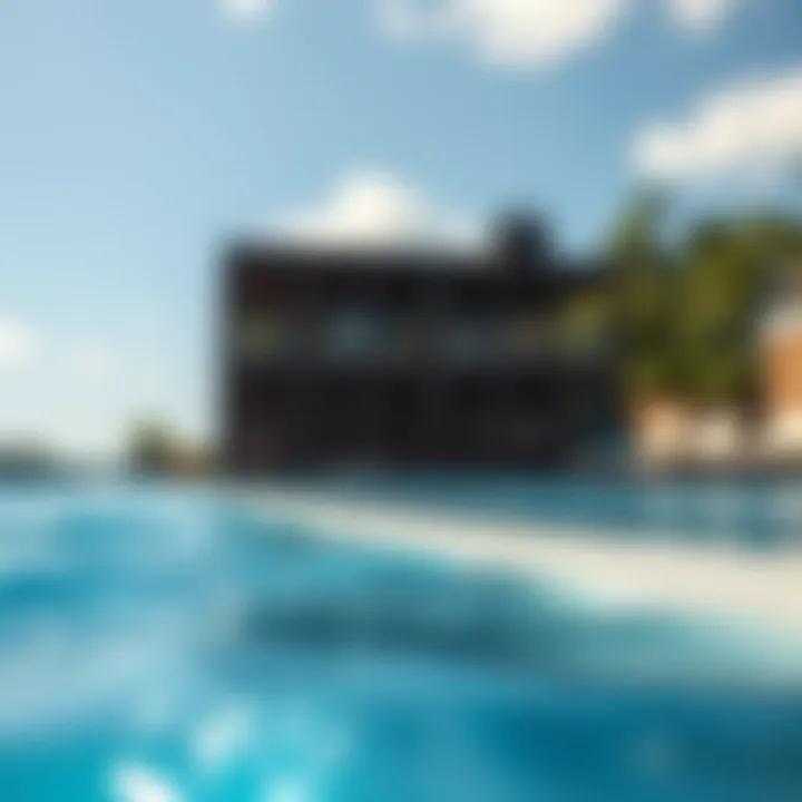 Comparative Analysis of Freshwater and Saltwater Pools: A Comprehensive Overview Introduction
