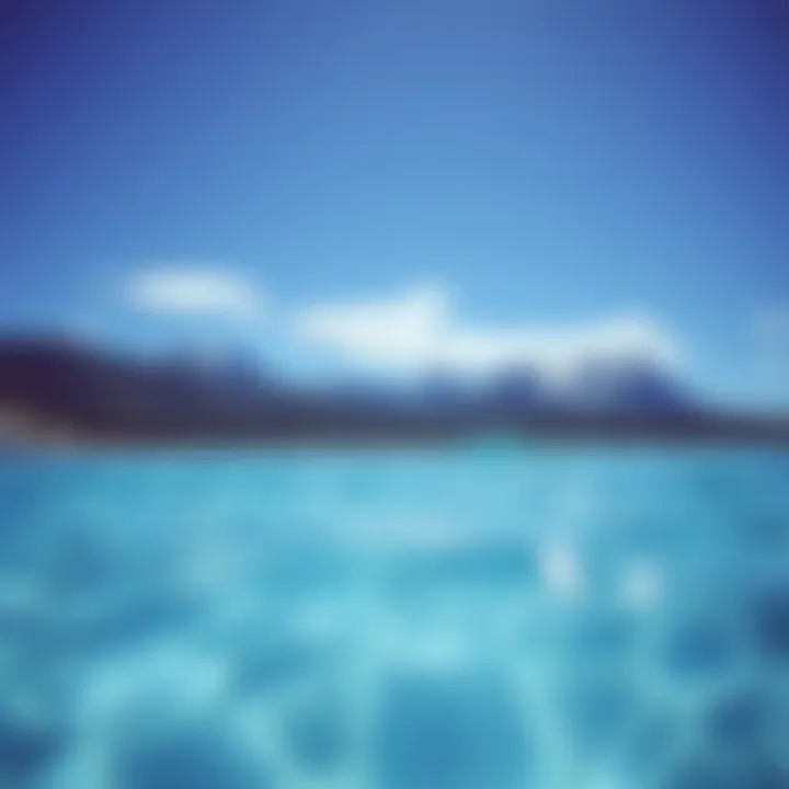 Comparative Analysis of Freshwater and Saltwater Pools: A Comprehensive Overview Summary