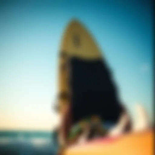 Durable padded surfboard bag showcasing internal padding