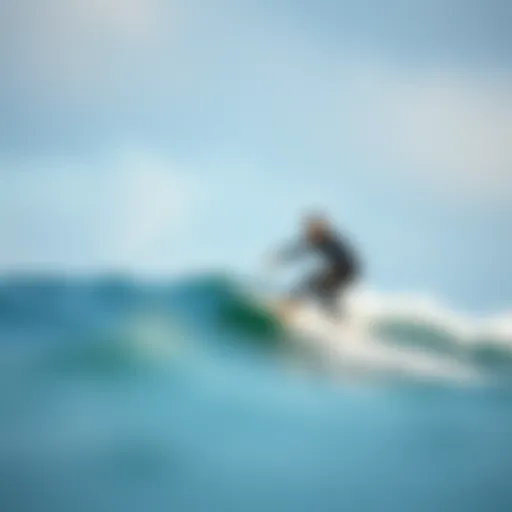 Comprehensive Insights on Short Boards for Sale Introduction