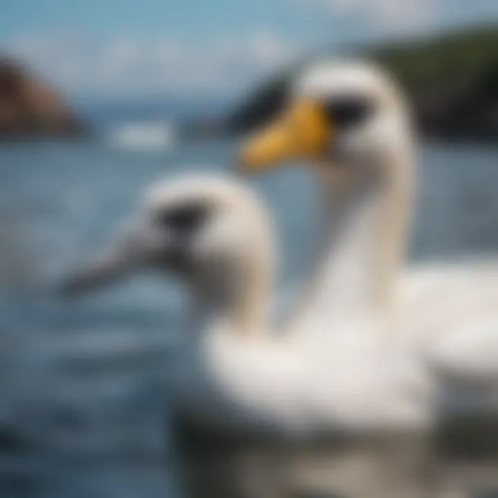 A water sports enthusiast wearing Costa Gannet sunglasses while kayaking