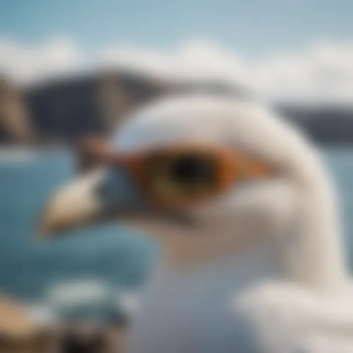 Costa Gannet sunglasses displayed against a vibrant ocean backdrop