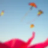 Colorful kites in the sky
