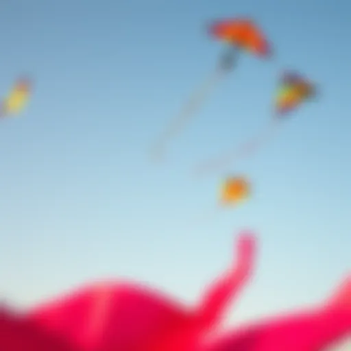 Colorful kites in the sky