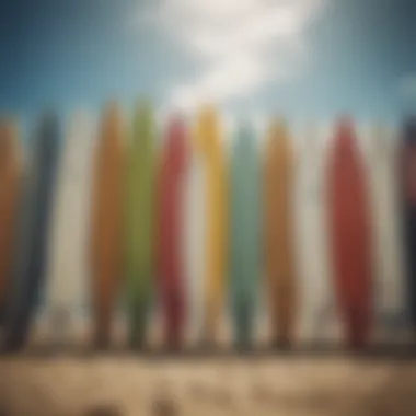 A diverse selection of surfboards showcasing different sizes and styles.