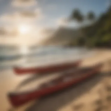 Canoes on the beach representing cultural heritage