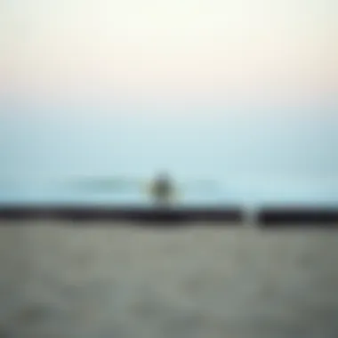 A serene morning view of Doheny Beach