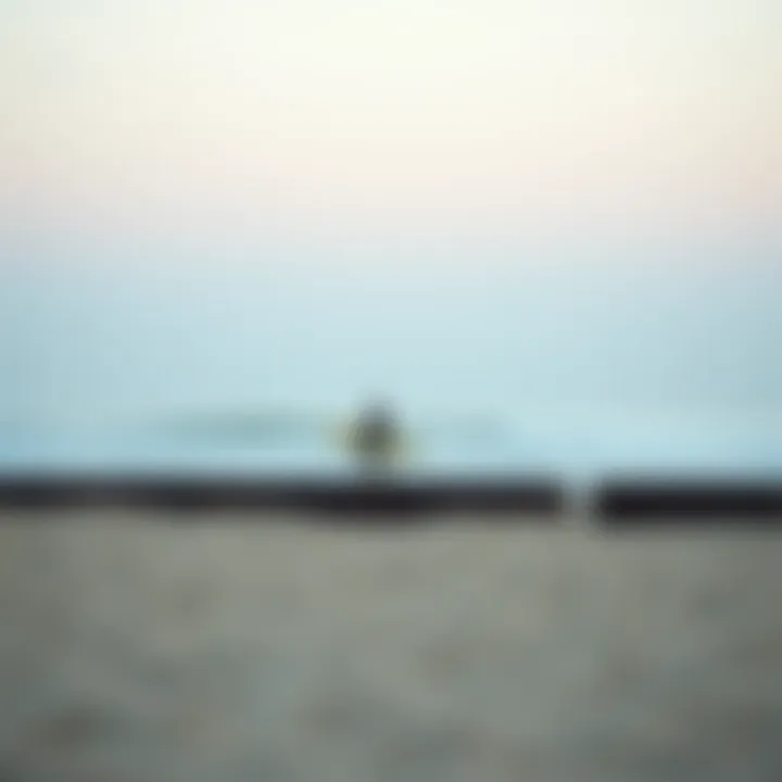 A serene morning view of Doheny Beach
