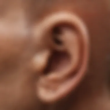 Understanding Ear Anatomy Anatomical diagram of the ear showing the inner workings