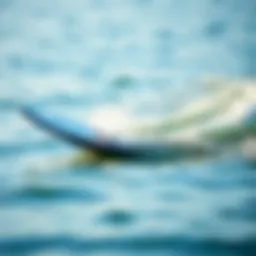 Dynamic electric board gliding over water surface
