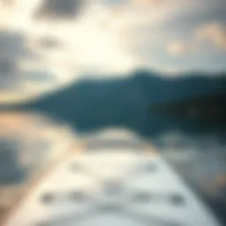 A high-quality paddle board showcasing stability on calm waters