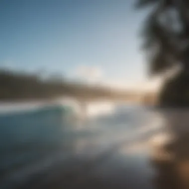 Local surfers enjoying the vibrant surf culture