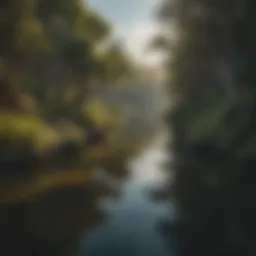 A serene billabong surrounded by lush vegetation, reflecting the vivid sky.