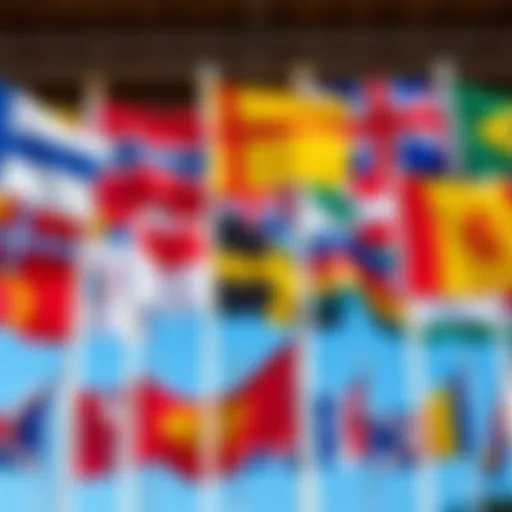 A collection of various watersports flags displayed in a vibrant setting