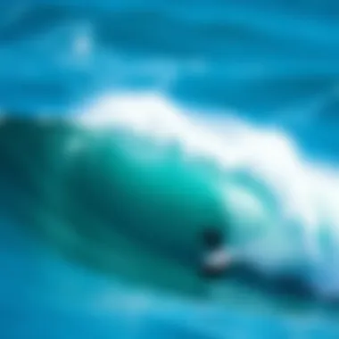 Exploring Doheny Surf Camp: A Comprehensive Guide Summary