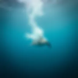 Exploring Fins and Flippers: A Comprehensive Analysis Introduction