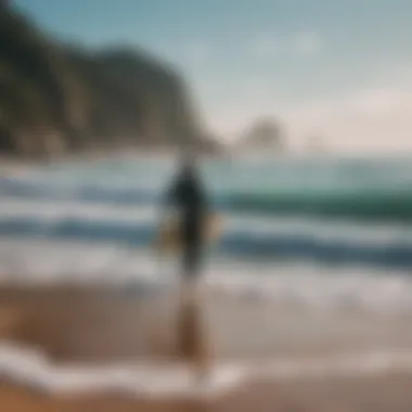 Perfect Beach for Surfing Beginners Scenic beach with favorable surfing conditions