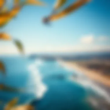 Natural Splendor of Nelscott Beach Panoramic view of the coastal landscape at Nelscott