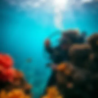Vibrant coral reefs teeming with marine life, a diver's paradise