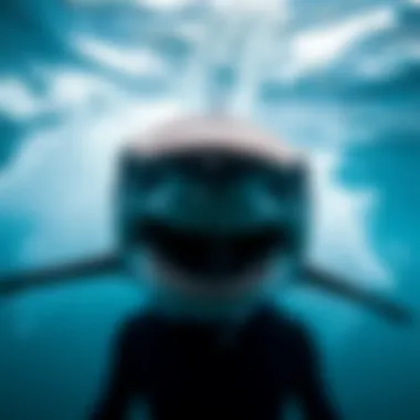 Notable Exploring Sharkbanz: A Comprehensive Guide to Gear for Watersports Safety