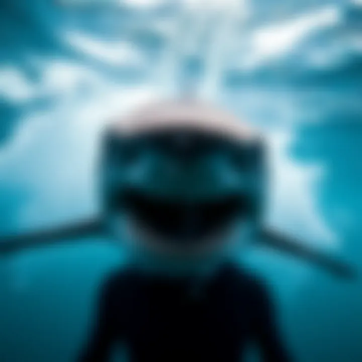 Notable Exploring Sharkbanz: A Comprehensive Guide to Gear for Watersports Safety