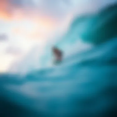 Exploring the Best Longboard Surfboards: A Comprehensive Guide Summary Exploring the Best Longboard Surfboards: A Comprehensive Guide Summary