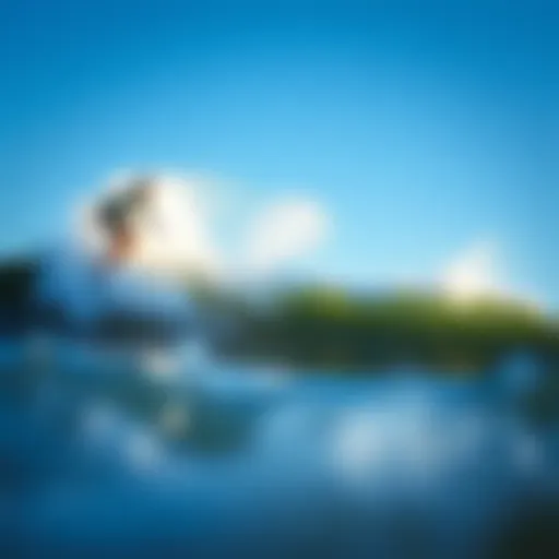 Exploring the Best Waves in San Diego Introduction