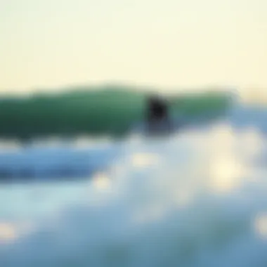 Notable Exploring the Best Waves in San Diego Notable Exploring the Best Waves in San Diego