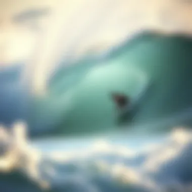 Exploring the Best Waves in San Diego Summary Exploring the Best Waves in San Diego Summary