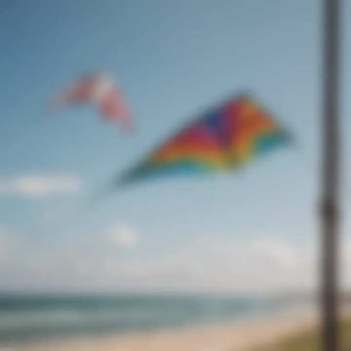 A side-by-side comparison of different budget kites and their features