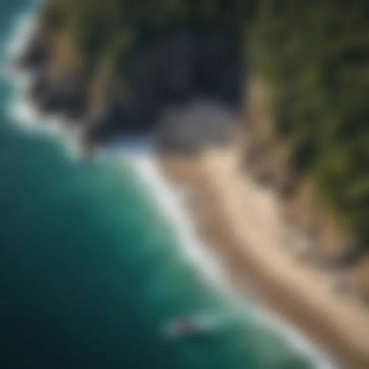 Aerial view of a coastal ecosystem showcasing the interaction between land and sea