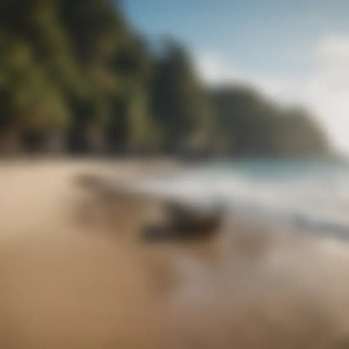 A peaceful beach scene inviting relaxation and exploration