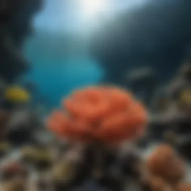 A Glimpse into Coral Reef Biodiversity Vibrant coral reef teeming with diverse marine life
