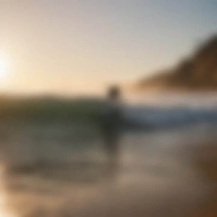 Surfers riding waves at a popular Northern California beach during sunset