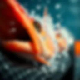 Exploring the Dynamics of Fish Games: A Focus on Predatory Mechanics Introduction
